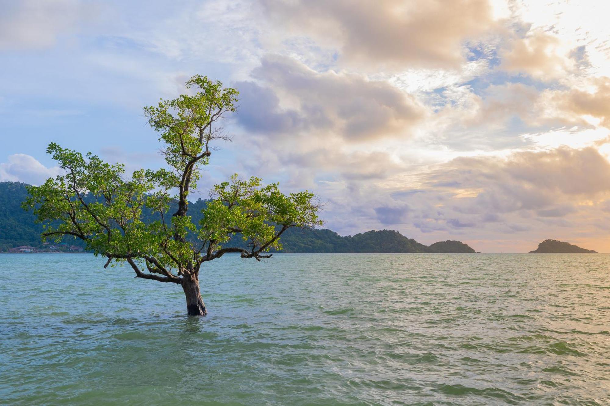 Utalay Koh Chang Villas Luaran gambar